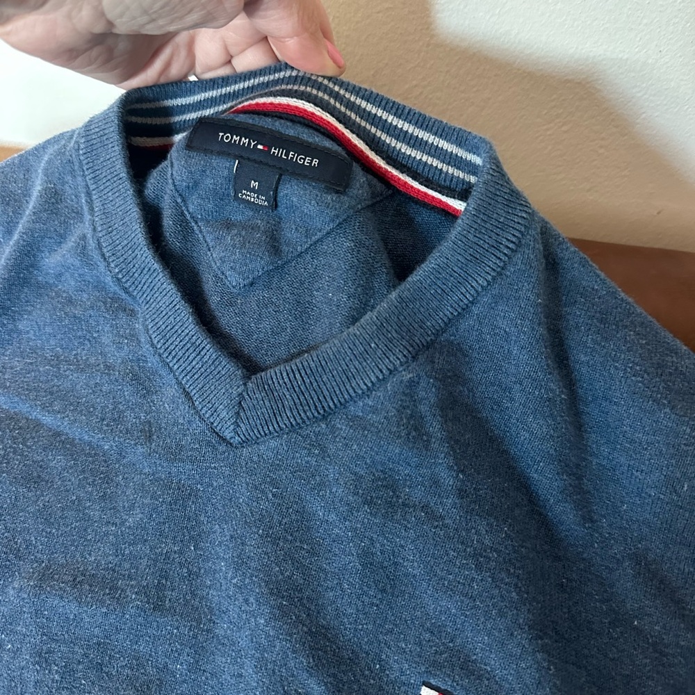 Tommy Hilfiger Men's V-Neck Sweater in Blue